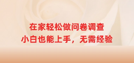 在家里轻轻松松做问卷调查，新手也可以入门，无需经验