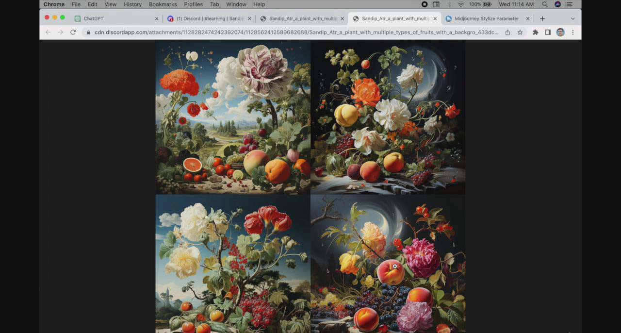 图片[2]-ChatGPT4 和 MidJourney AI 美术绘画闲聊颠覆性手册实例教程-33节视频课程-中英字幕-付付项目网-优质付费教程和创业项目大全